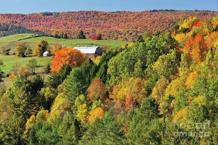 Autumn Farm Landscape Photograph by Alan L Graham