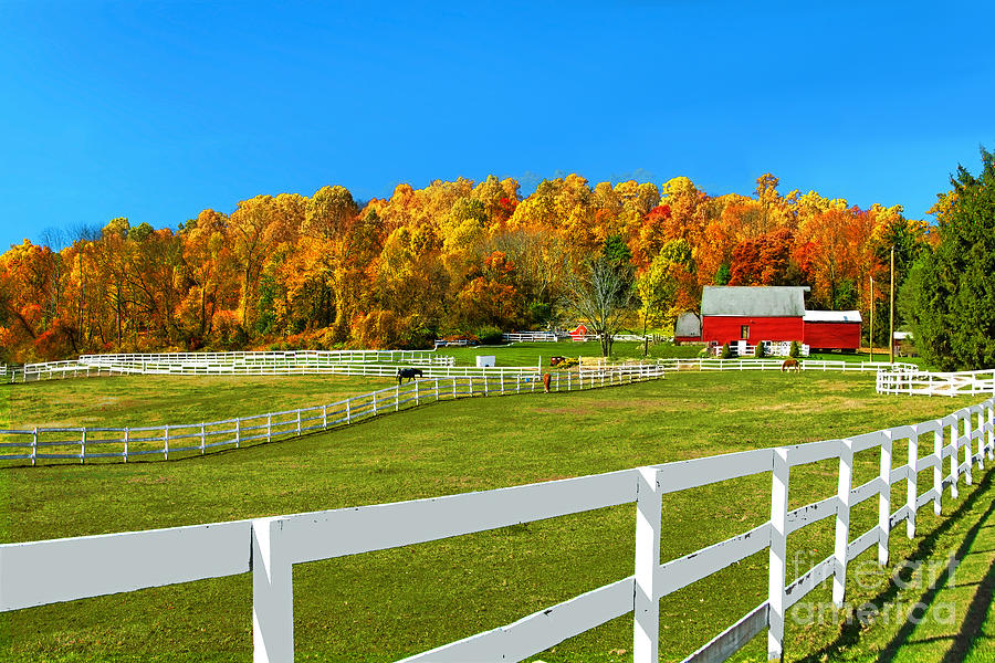 New Jersey Fall Foliage Photograph - Autumn farm Landscape NJ by Regina Geoghan