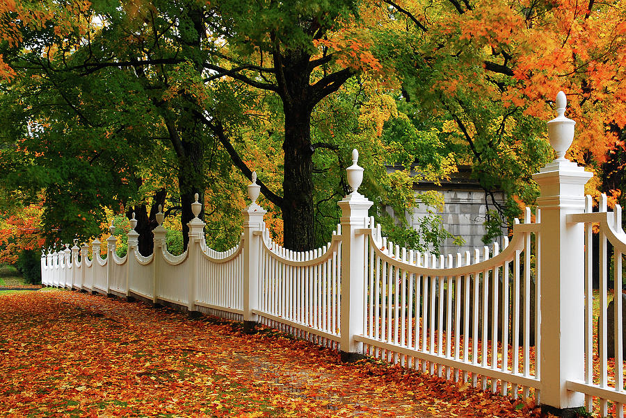 Autumn Fencing Photograph by James Kirkikis
