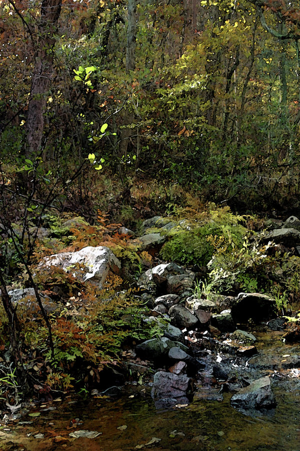 Autumn Ferns Pickle Creek Digital Painting 6300 DP_2 Photograph by Steven Ward