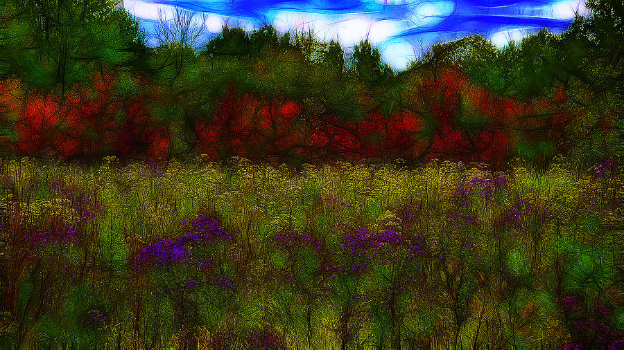 Fall Digital Art - Autumn Field by Jean-Marc Lacombe