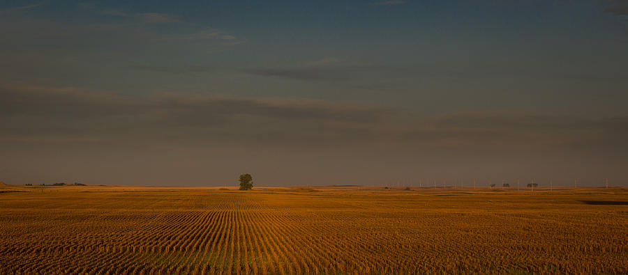 Autumn Field Photograph by Bill Wiebesiek