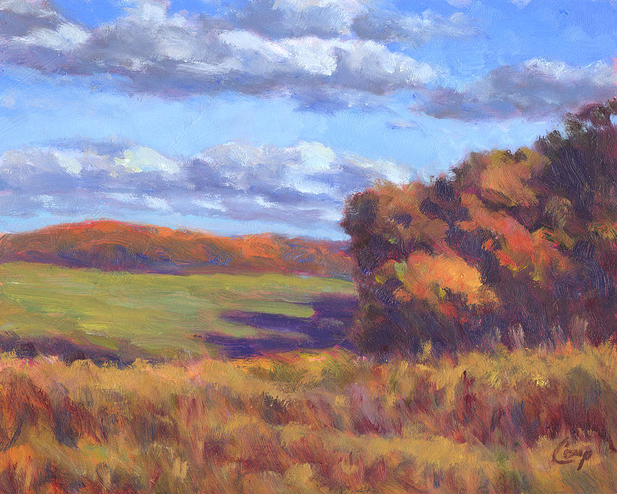 Autumn Fields Painting by Michael Camp
