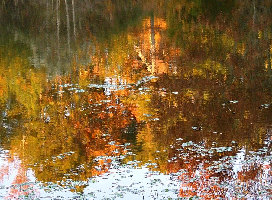 Landscape Photograph - Autumn Lights by Monique Michel