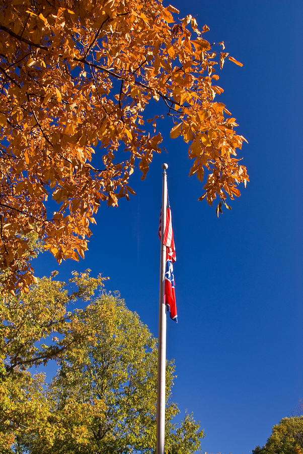 Autumn Flag Photograph by Douglas Barnett