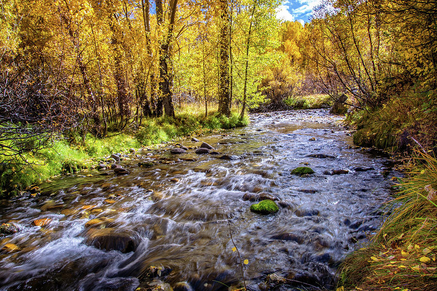 Autumn Flow at McGee Creek Photograph by Lynn Bauer