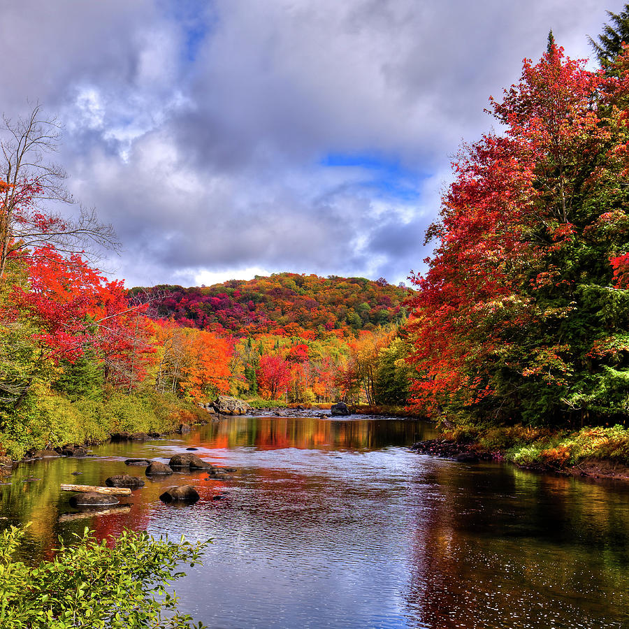 Autumn Flow Photograph by David Patterson
