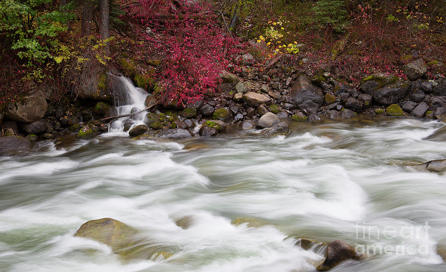 Autumn Flow Photograph by Idaho Scenic Images Linda Lantzy