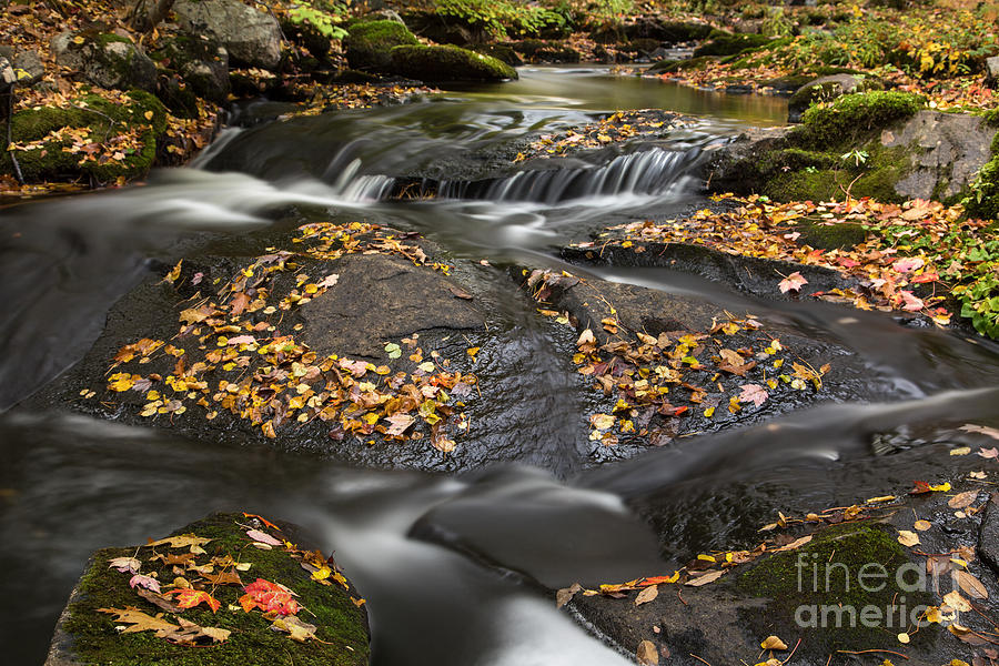 Autumn Flow Photograph by Karin Pinkham