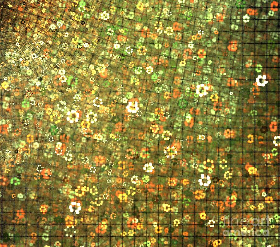 Abstract Digital Art - Autumn Flowers Grid by Kim Sy Ok