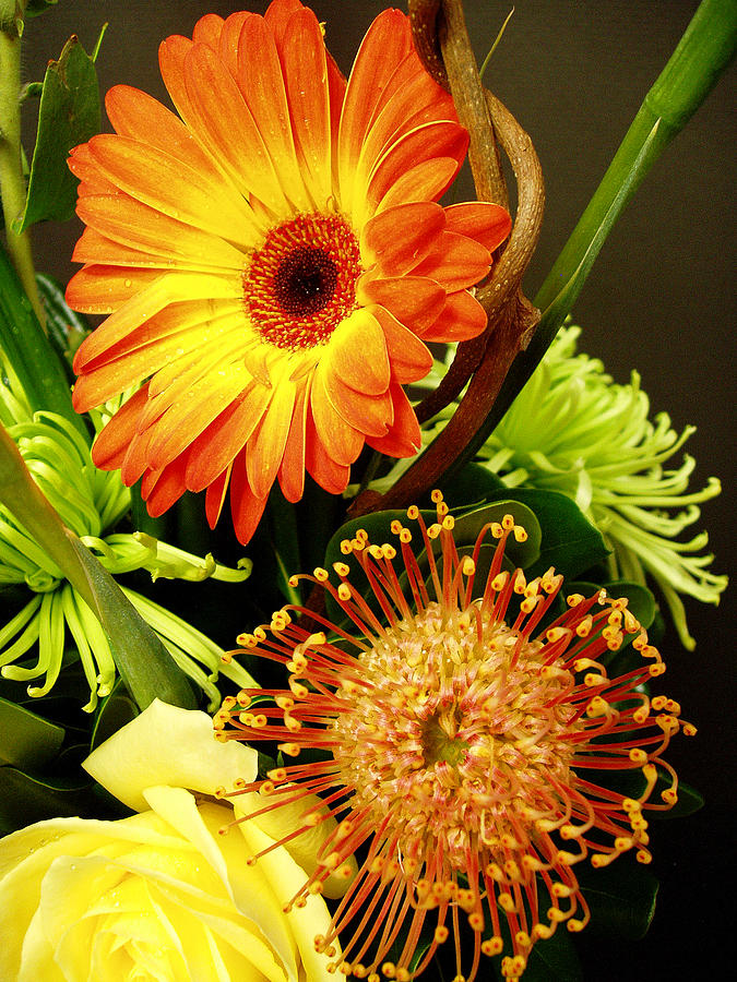 Flower Photograph - Autumn Flower Arrangement by Nancy Mueller