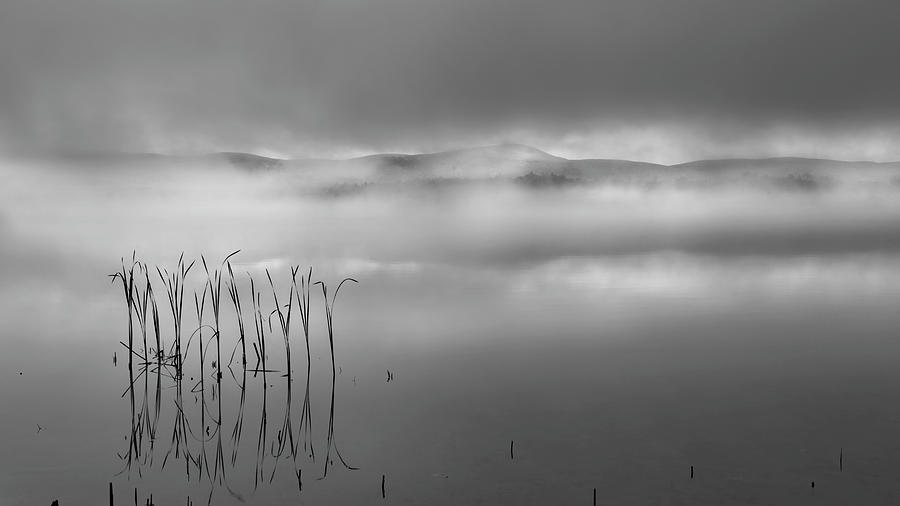 Autumn Fog Black and White Photograph by Bill Wakeley