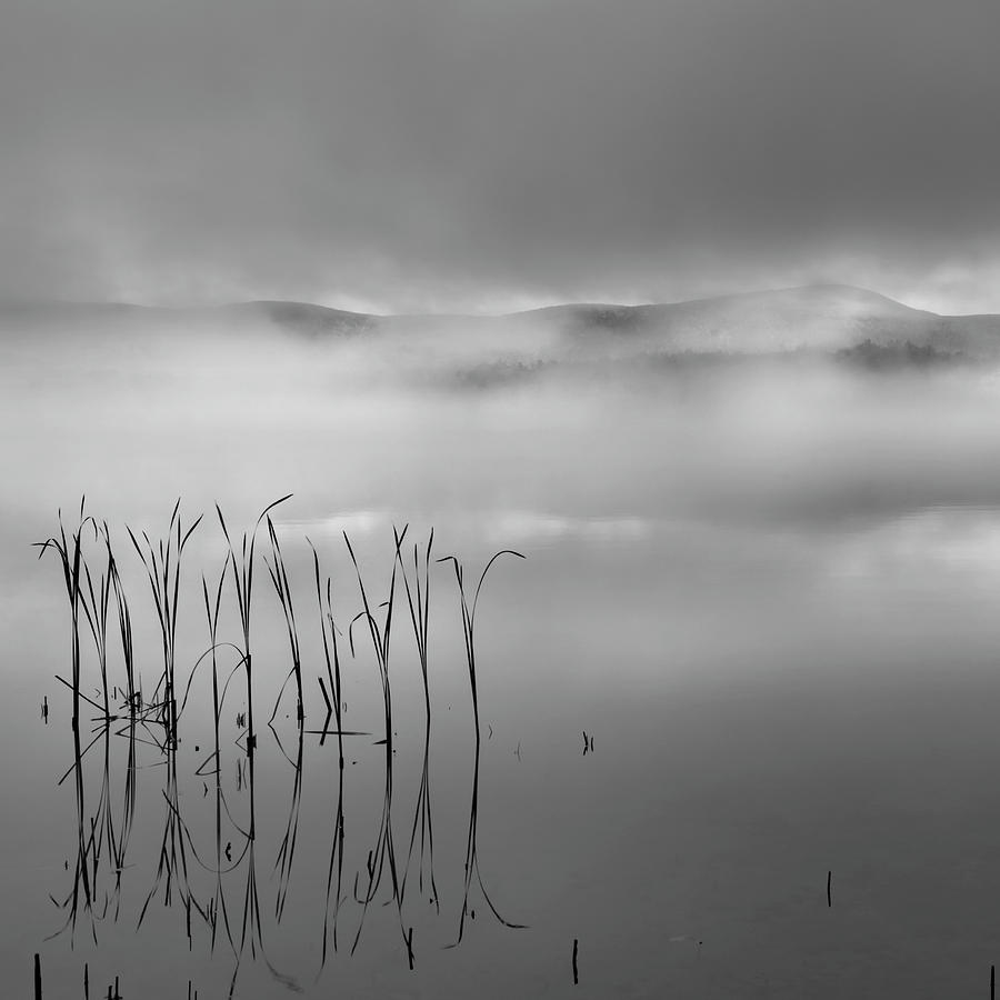 Autumn Fog Black and White Square Photograph by Bill Wakeley