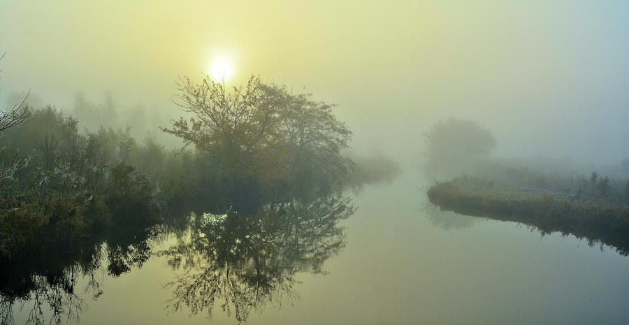 Autumn Fog Photograph by Bonfire Photography