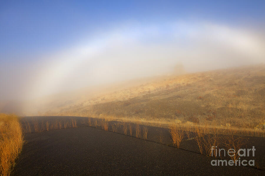 Fall Photograph - Autumn Fog Bow by Mike Dawson Fall Photograph - Autumn Fog Bow by Mike Dawson