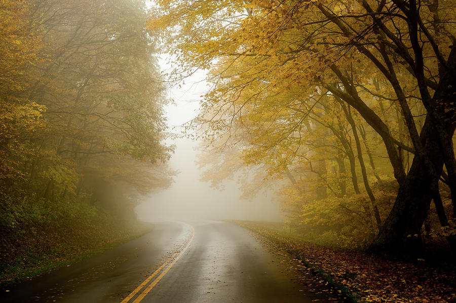 Autumn Fog Drive North Carolina Photograph by Terry DeLuco