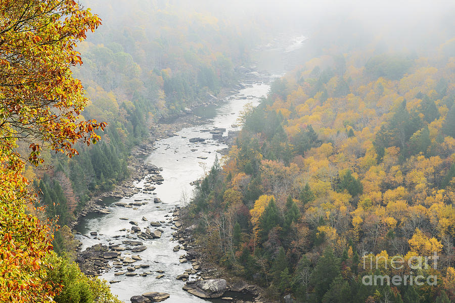 Fall Photograph - Autumn Fog Gauley River by Thomas R Fletcher