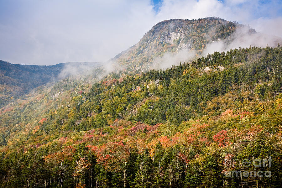 Autumn Fog on Mount Blue Photograph by Susan Cole Kelly