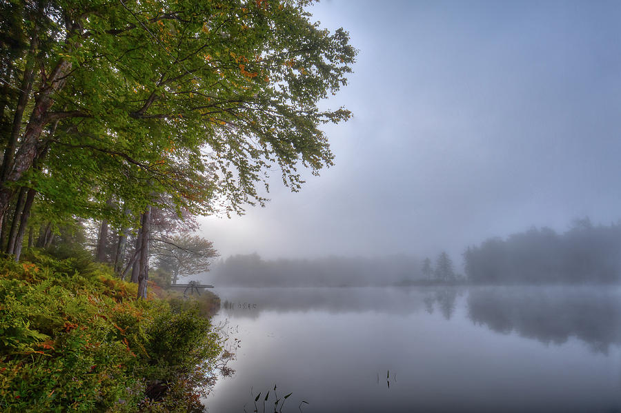 Autumn Fog on West Lake Photograph by David Patterson