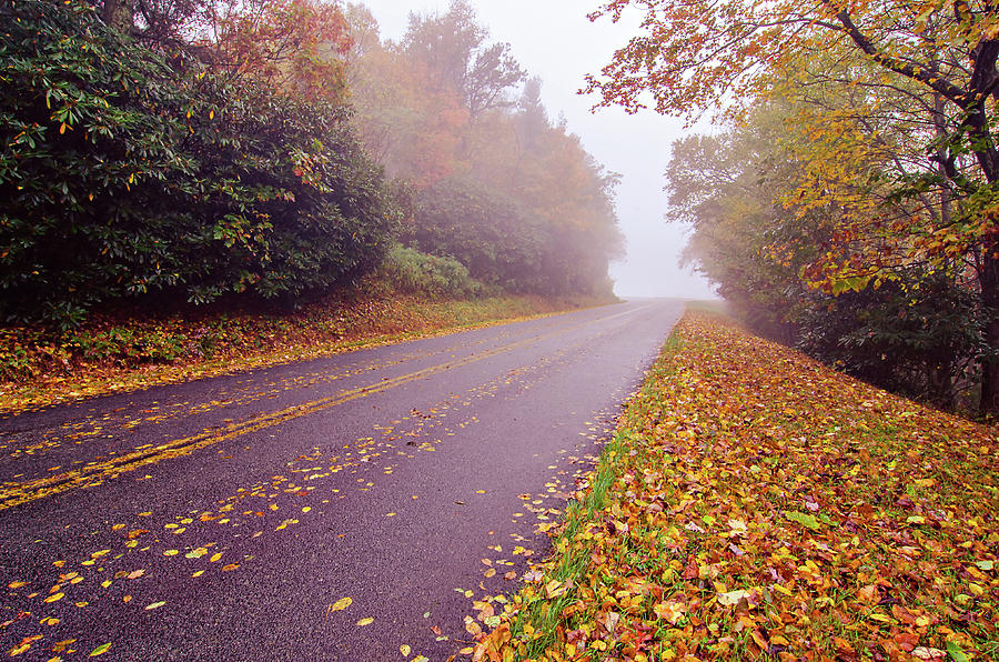 Autumn Foggy Day Along Blue Ridge Parkway Photograph by Alex Grichenko
