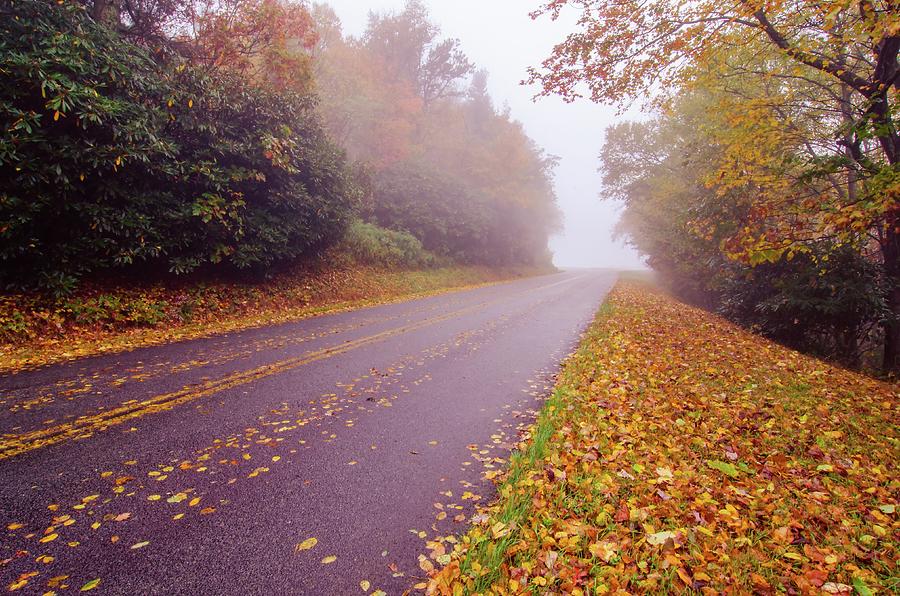 Autumn Foggy Day Along Blue Ridge Parkway Photograph by Alex Grichenko