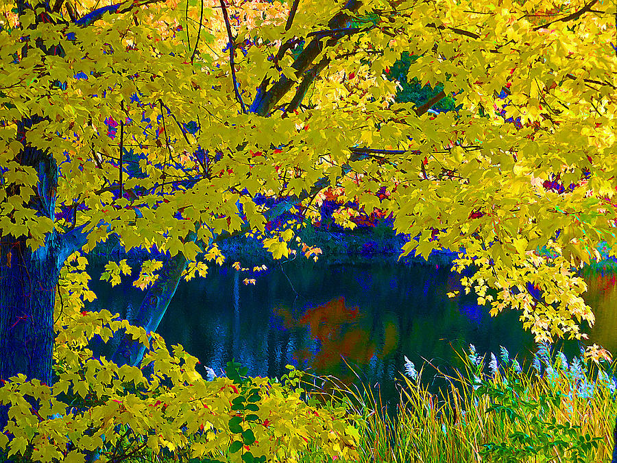 Autumn foliage 2 Painting by Jeelan Clark