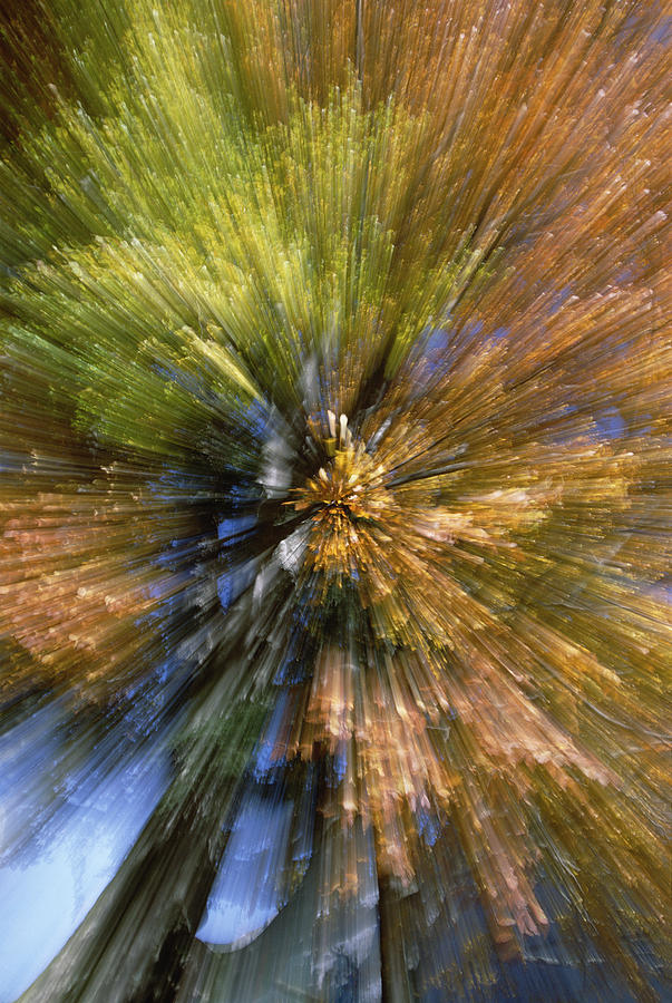 Autumn Foliage, Abstract Photograph by Konrad Wothe