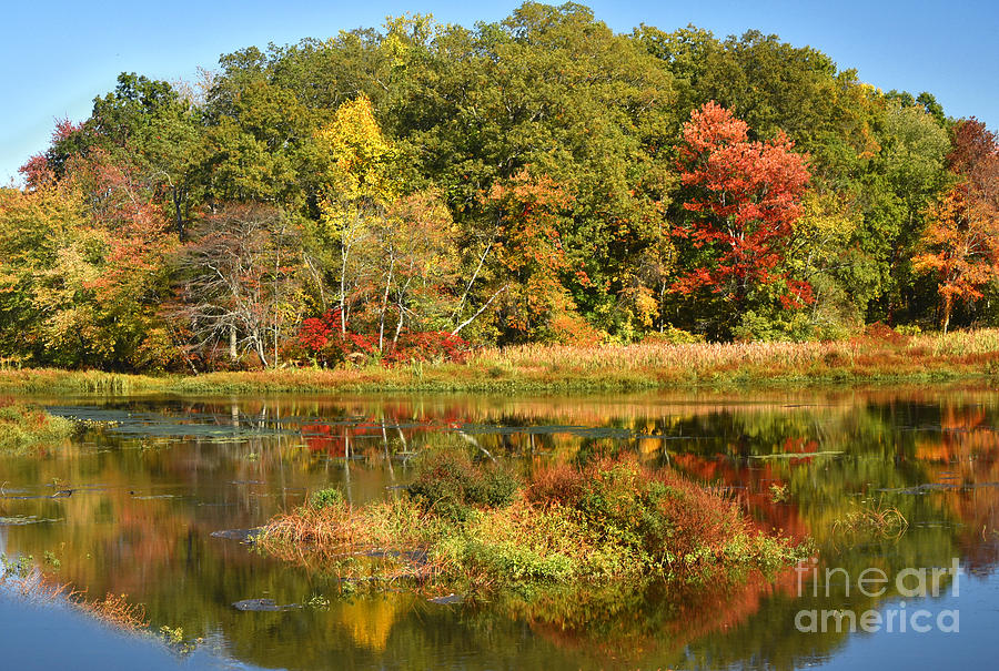 Autumn Foliage-Allamuchy State Park NJ Photograph by Regina Geoghan ...