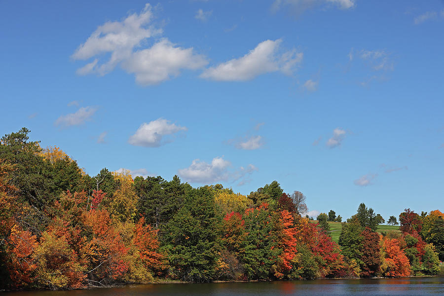 Autumn Foliage along the Banks of Green Hill Pond Photograph by Juergen Roth