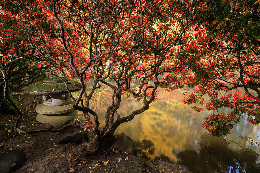 Autumn Foliage And Reflections In Pond. Photograph