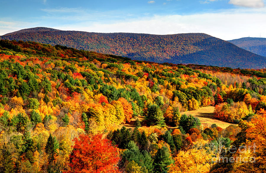 Autumn Foliage In The Berkshires Region Of Massachusetts Photograph by