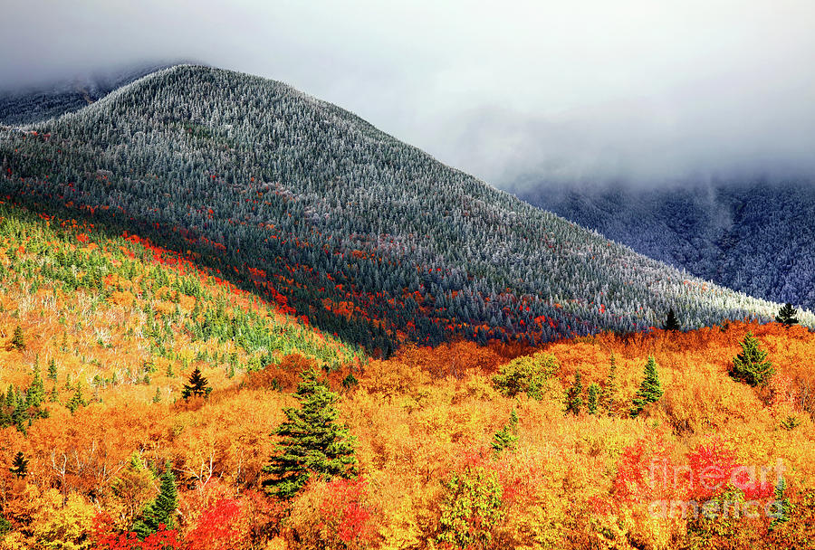 Autumn foliage on the slopes of Mt Washington Photograph by Denis ...