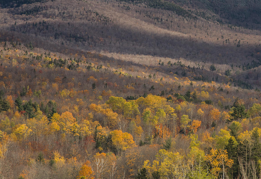 Autumn Foliage Vermont Mount Mansfield Mountain Photograph