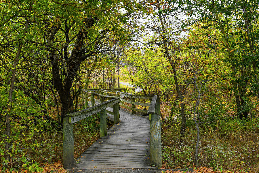 Autumn Foot Bridge Photograph by David Drew