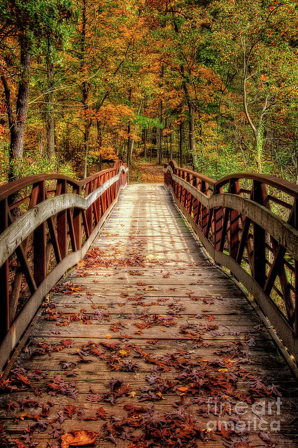 Autumn Foot Bridge Photograph by Michael Shake - Fine Art America