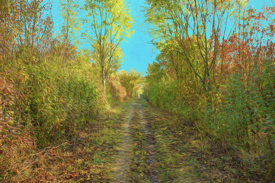 Autumn Footpath Digital Art by Roy Pedersen