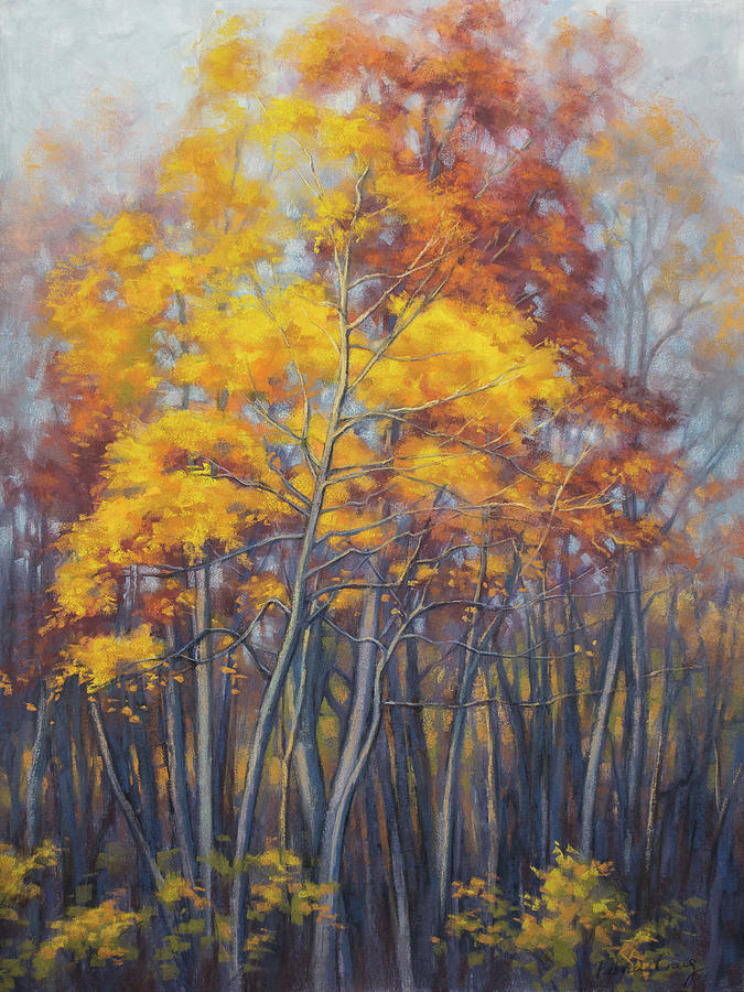 Autumn Forest 2 Drawing by Fiona Craig - Fine Art America