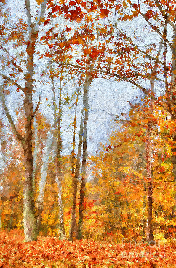 Claude Monet Photograph - Autumn Forest by Darren Fisher