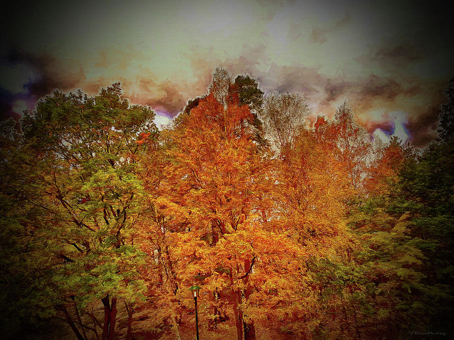 Autumn Forest Escape Digital Art by Ramon Martinez - Fine Art America