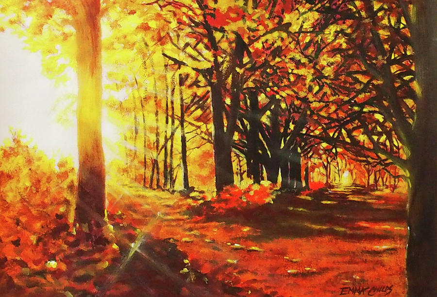 Autumn Forest Light Painting