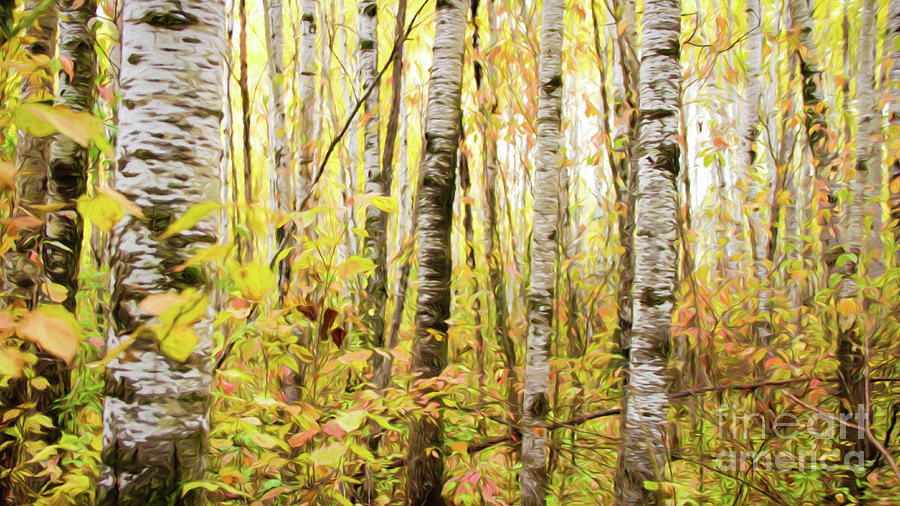 Autumn Forest Digital Art by Lori Dobbs