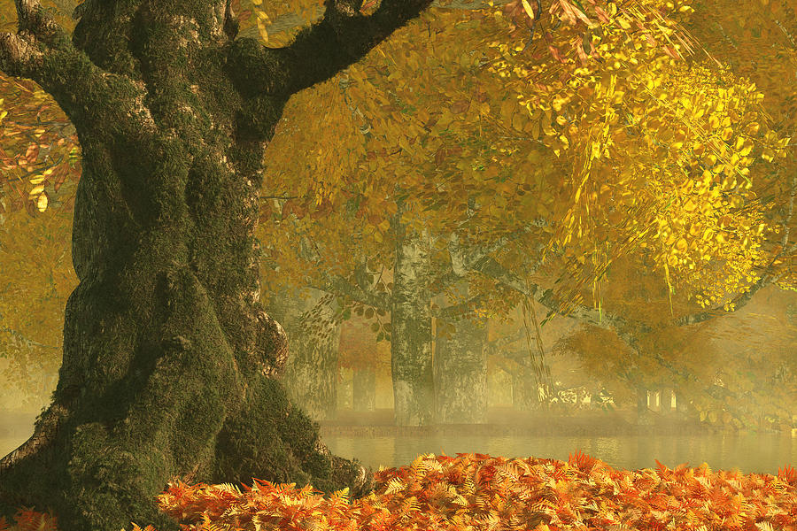 Autumn Forest Digital Art - Autumn Forest by Mindscape Arts Autumn Forest Digital Art - Autumn Forest by Mindscape Arts