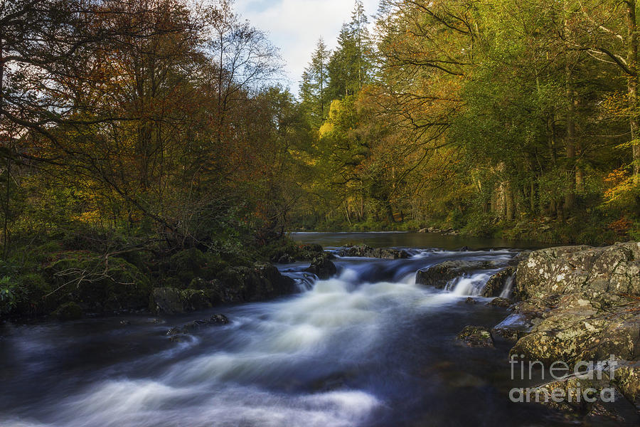 Autumn Forest River Photograph by Ian Mitchell