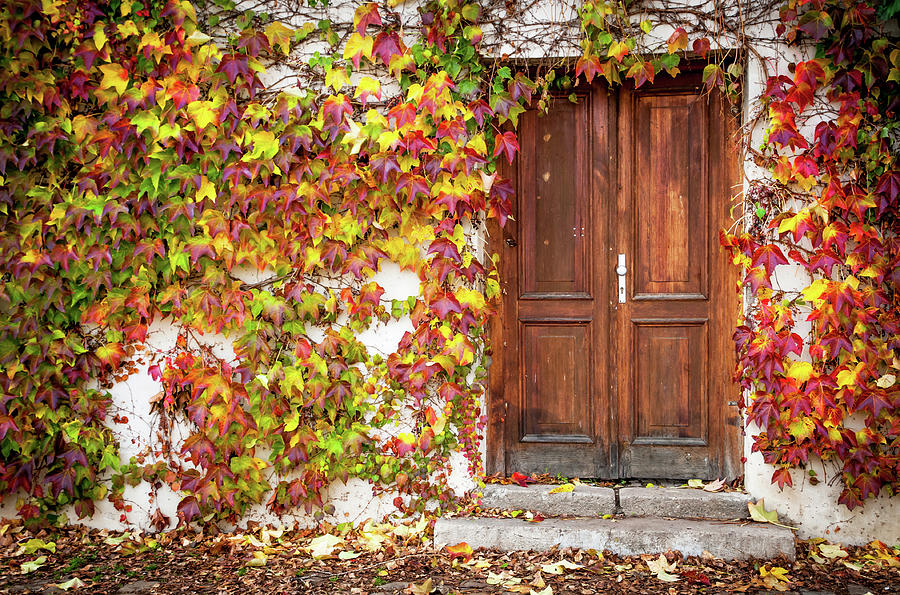Autumn Frame for Wooden Doorway. Prague 1 Photograph by Jenny Rainbow