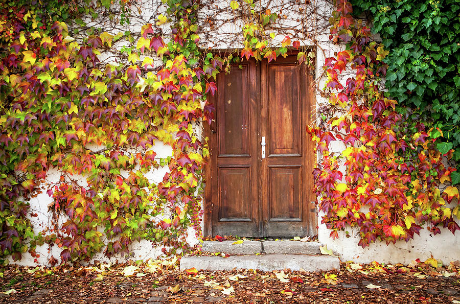 Autumn Frame for Wooden Doorway. Prague Photograph by Jenny Rainbow
