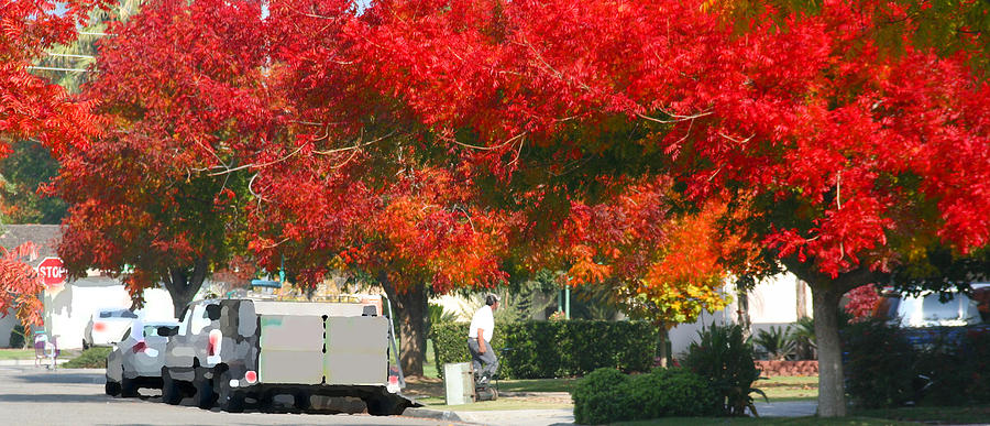 Autumn Fresno Painting by Gail Daley