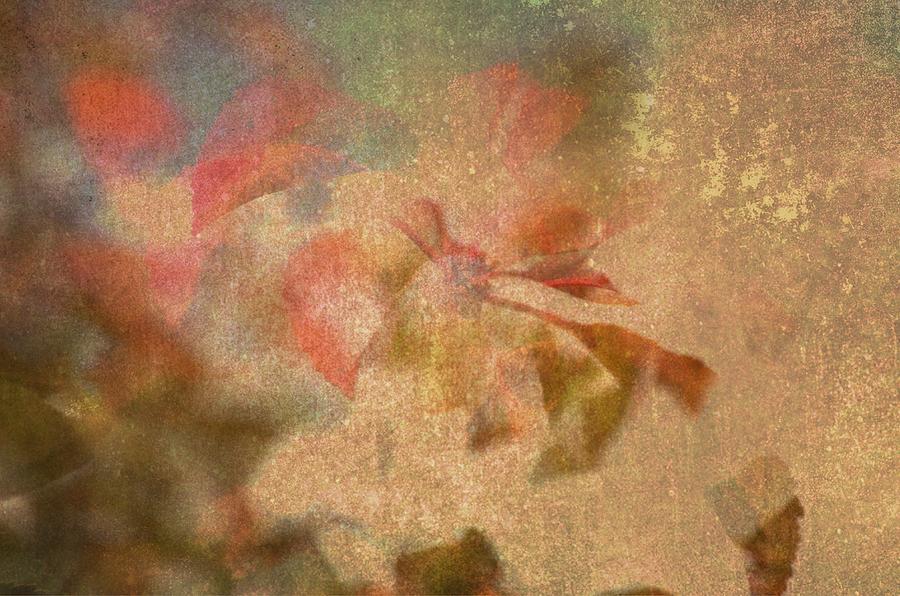Autumn Fugue Digital Art by Cheryl Charette
