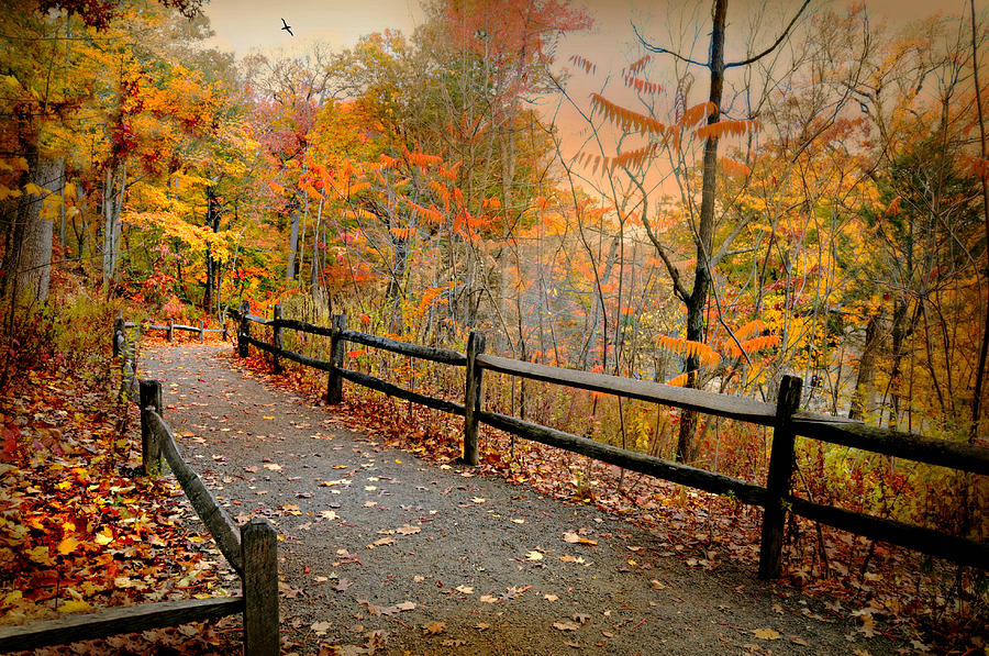 Autumn Garden Walk Photograph by Diana Angstadt - Fine Art America