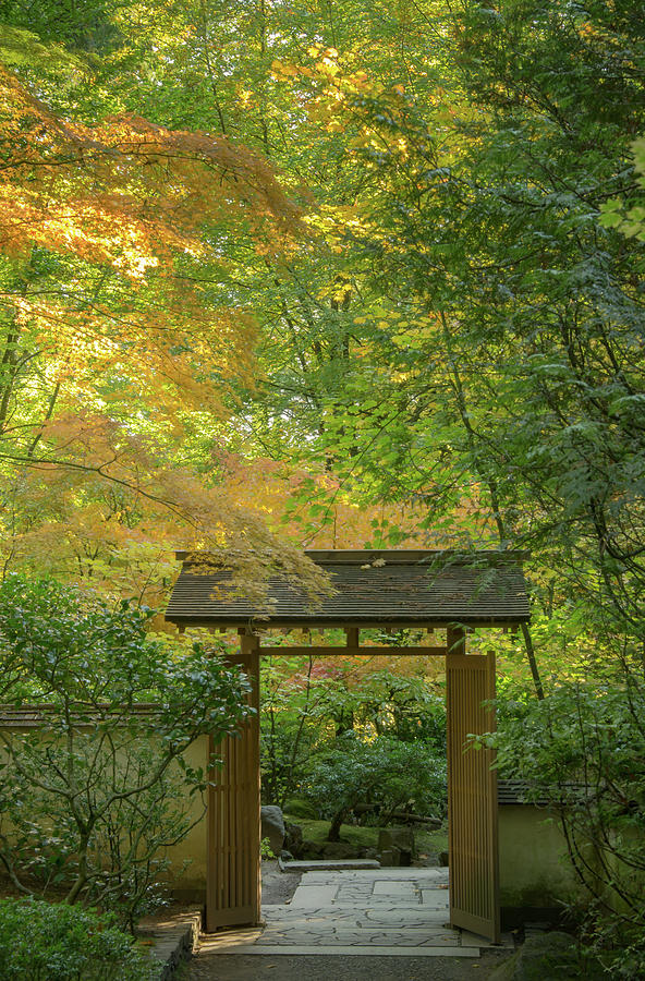 Autumn Gate Photograph by Don Schwartz