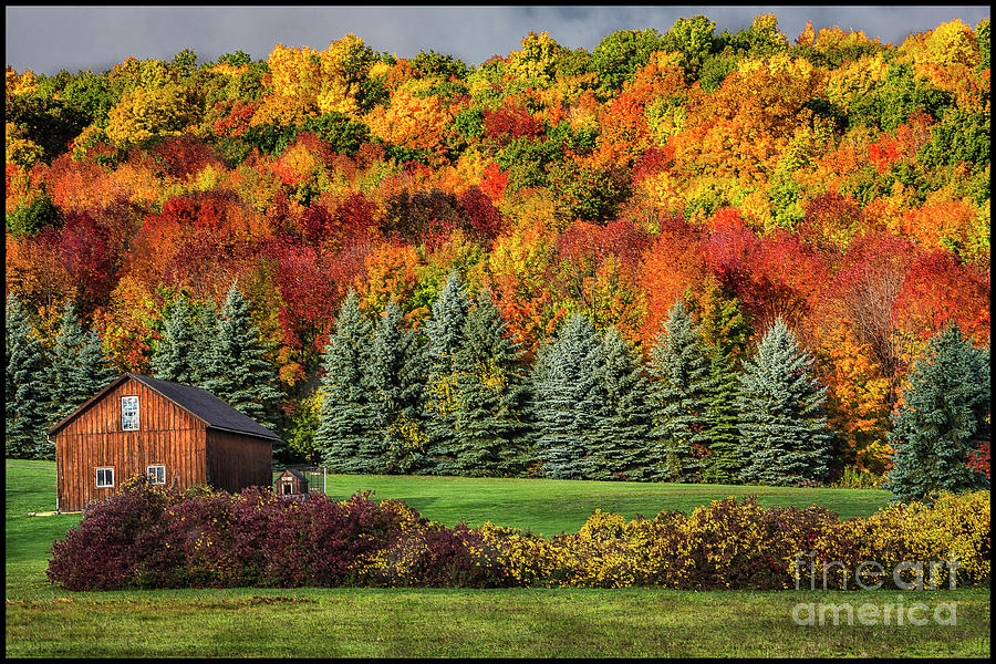 Autumn Glorious Color Photograph by Joann Long